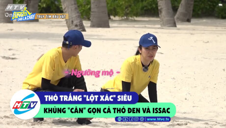 Xem Show CLIP HÀI Thỏ trắng "lột xác" siêu khủng "cân" gọn cả Thỏ Đen và Issac HD Online.